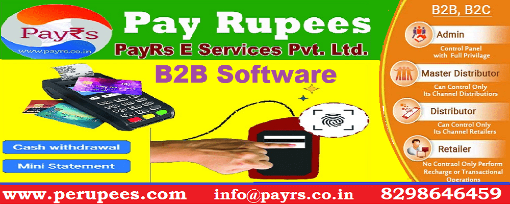 AEPS Software Development Company